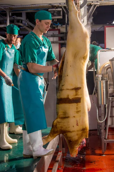 Fabbrica per la produzione di carne di maiale — Foto Stock