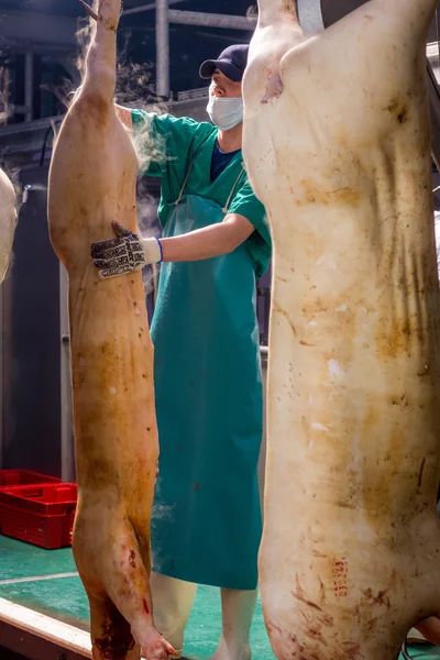 Fabbrica per la produzione di carne di maiale — Foto Stock