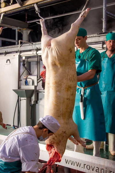 Fabrika domuz eti üretimi için — Stok fotoğraf