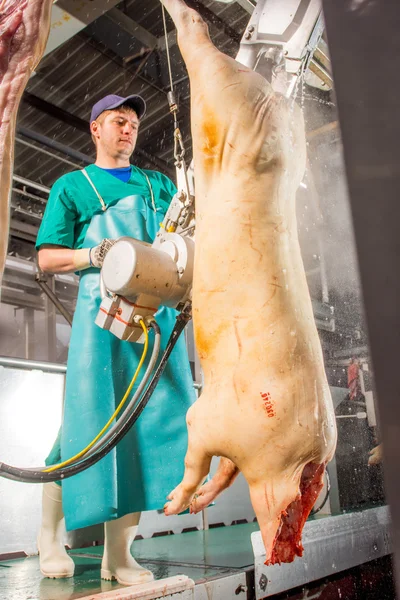 Fabbrica per la produzione di carne di maiale — Foto Stock