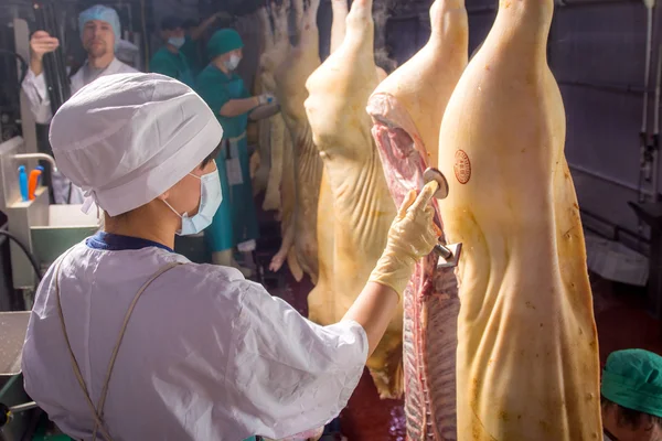 Fabbrica per la produzione di carne di maiale — Foto Stock