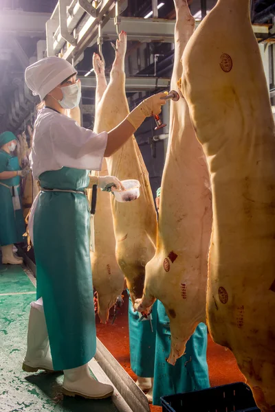 Fábrica de produção de carne de porco — Fotografia de Stock