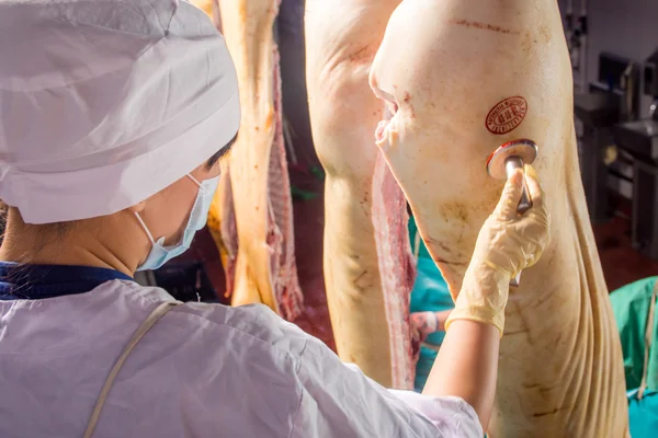 Fabrik für die Produktion von Schweinefleisch — Stockfoto