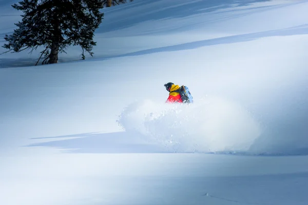 Snowboarden in de winter — Stockfoto