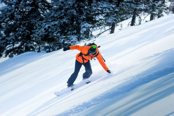 在冬天滑雪 — 图库照片