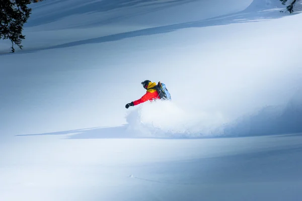 Snowboarden in de winter — Stockfoto