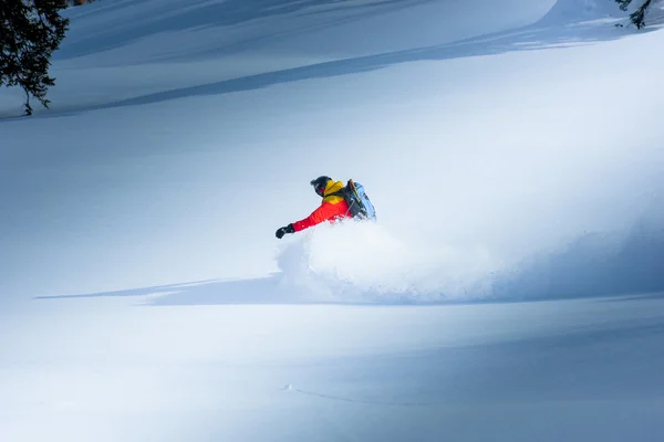 Snowboarding in the winter