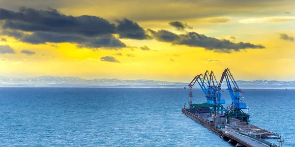 Een rij van kraan in de seaport — Stockfoto