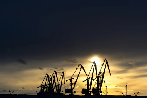 Een rij van kraan in de seaport — Stockfoto