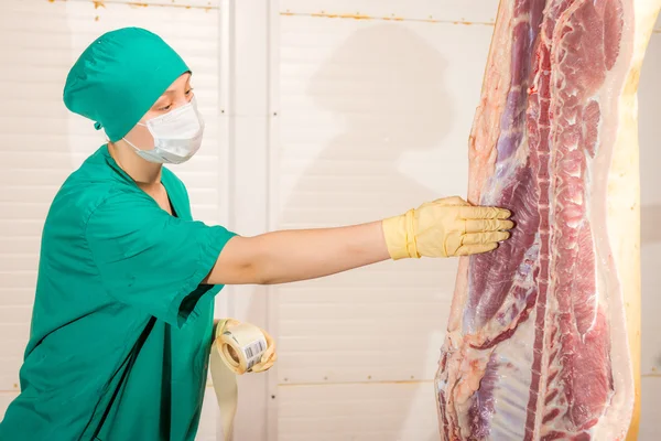 Fabbrica per la produzione di carne di maiale — Foto Stock