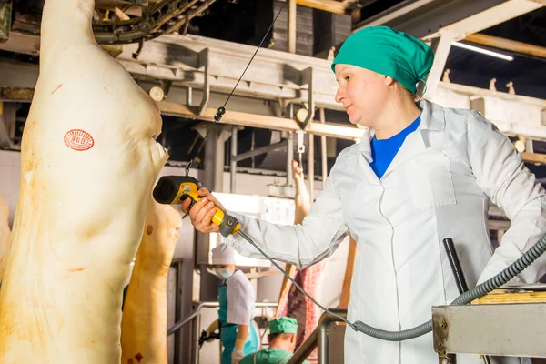 Fabbrica per la produzione di carne di maiale — Foto Stock