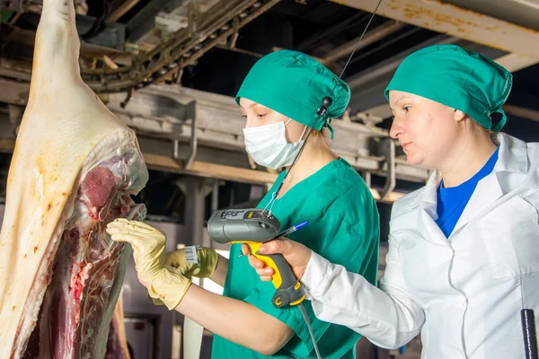 Fabrik für die Produktion von Schweinefleisch — Stockfoto