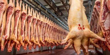 Bir fabrikada kıyılmış domuz