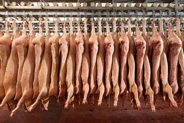 Posiekane świnia w fabryce — Zdjęcie stockowe