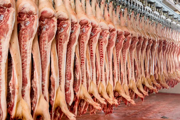 Chopped pig at a factory — Stock Photo, Image