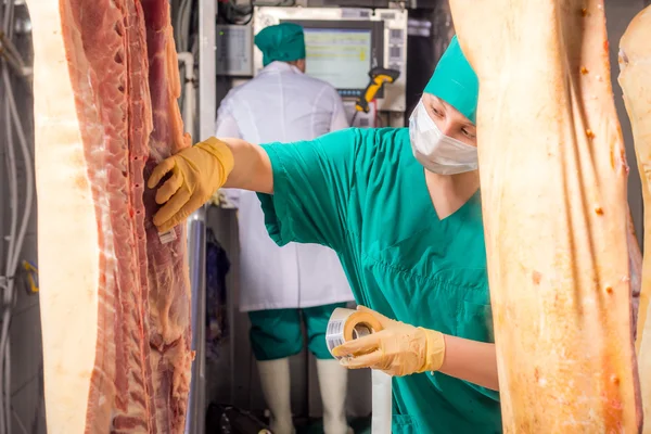 Fabbrica per la produzione di carne di maiale — Foto Stock