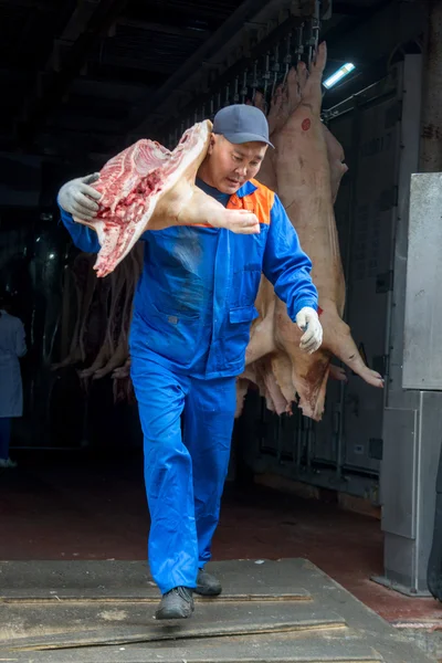 Carni suine esportatrici — Foto Stock