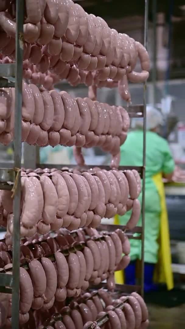 Vertical sausage making process factory — Stock Video