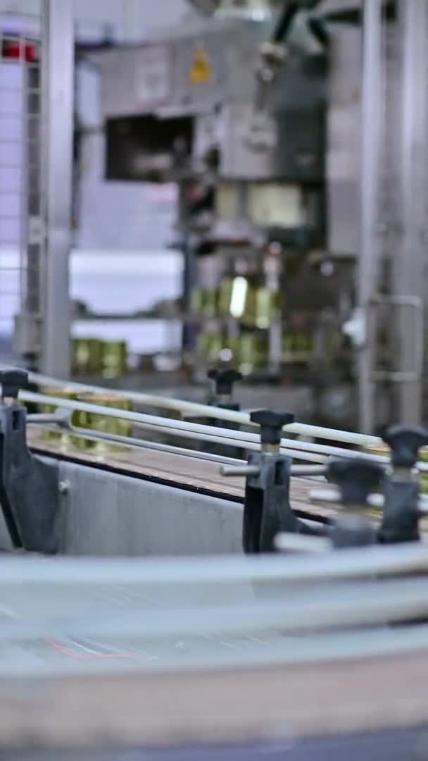 Linia video verticală poate fabrica industria de fabricație — Videoclip de stoc