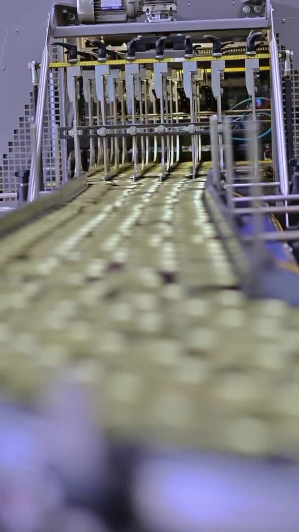 Linha de vídeo vertical pode fabricação da indústria de fábrica — Vídeo de Stock