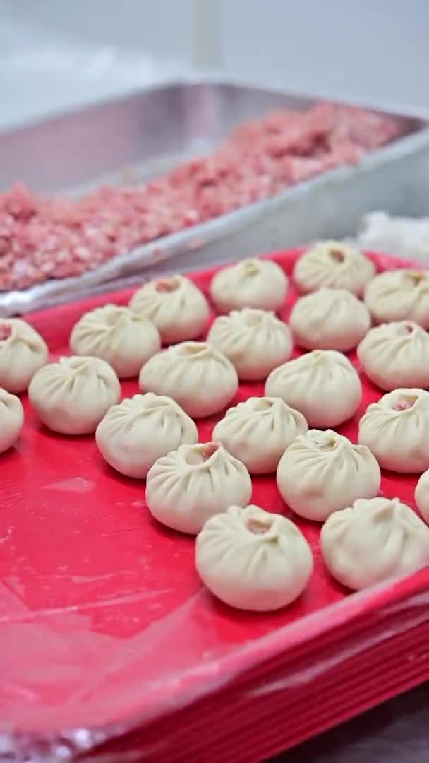 Buuza hacer fábrica baozi pozy pozi hecho a mano — Vídeos de Stock