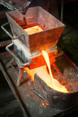 Sibirya, Rusya Federasyonu - 13 Ağustos 2014: altın çoğalmaktadır