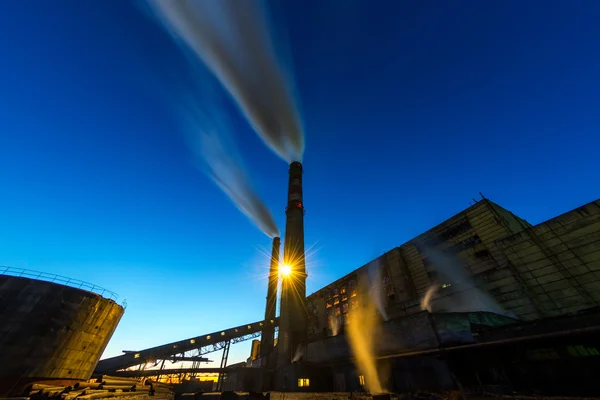 Kolen aangedreven plant — Stockfoto