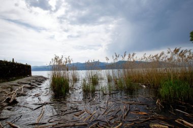 Gölde fırtına ve kıyıda sazlıklar.