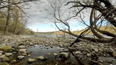 Nehir kıyısında rüzgarlı bir kış günü
