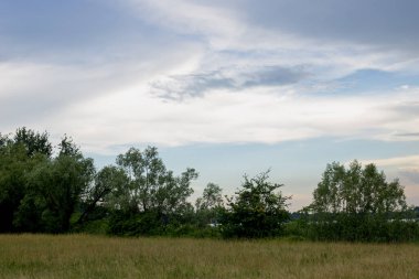 Gölün yakınındaki ağaçların ötesinde.