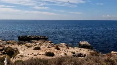 Atlantik 'in Okyanus Dinginliği