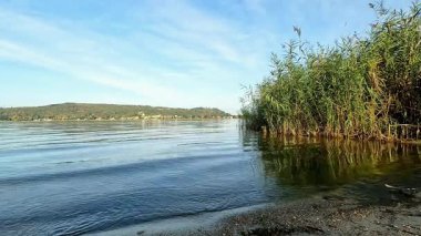 Sallanan Sazlıklarla Sakin Göl