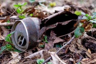 Paslı Metal Orman Yeraltı Doğası Arasında Unutulabilir