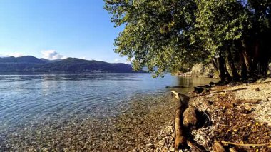 Sıcak Yaz Gününde Huzurlu Lakeside 'dan Rahatlatıcı Güneş Banyo