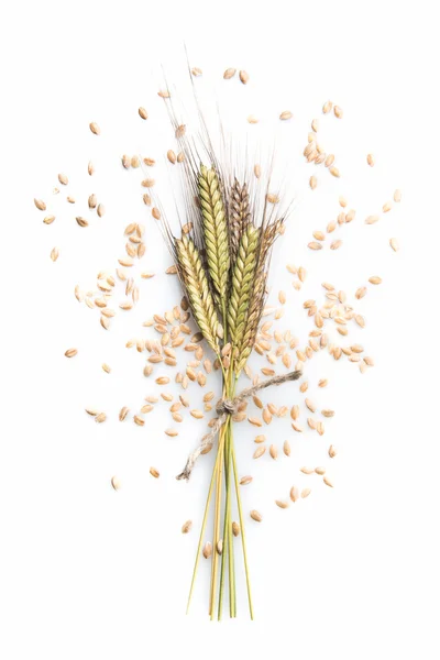 Pedmont alanında einkorn