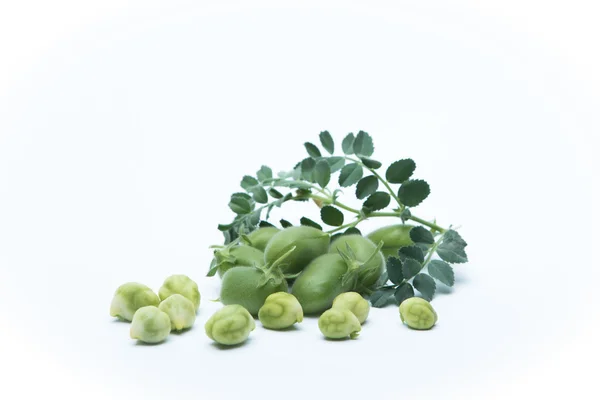 Yeşil nohut kompozisyon