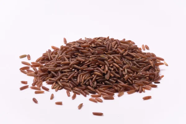 Falasco Ermes arroz — Foto de Stock