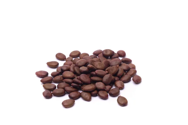 Quilates ou alfarroba de sementes — Fotografia de Stock