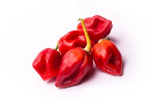 Biber biber Trinidad Moruga Akrep