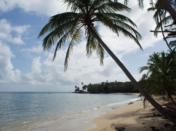 Caribische tropisch strand — Stockfoto