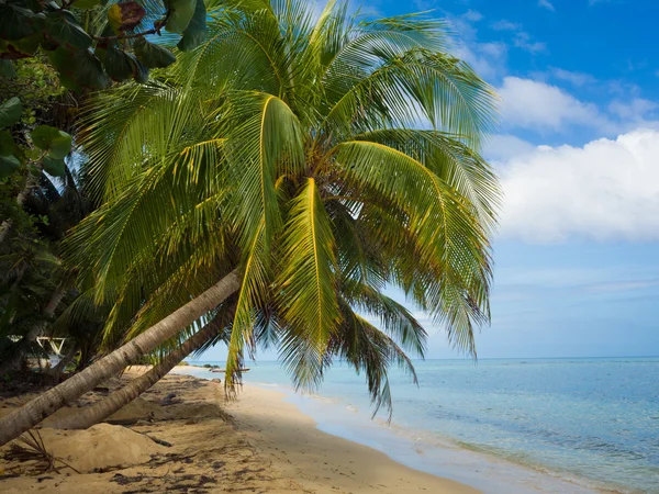 Relaxing tropical beach — Stock Photo, Image