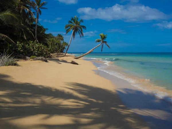 Tropisch strand ontspannen — Stockfoto