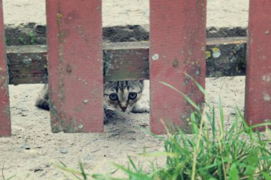 Bahar hava güneşli doğa