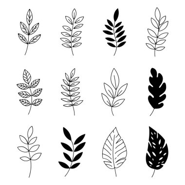 Minimalist El Yaprakları ve Doğa Tasarımı Koleksiyonu