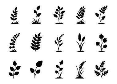 15 Siyah Minimalist Vahşi Çimen ve Botanik Bitkisi Silüet Koleksiyonu