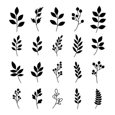 Silüet Botanik Yaprak ve Doğa Tasarımı için Dal Elementleri Çeşitli Koleksiyonu