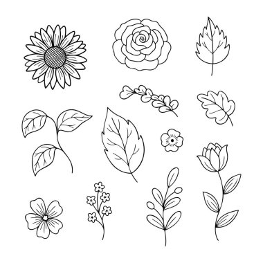 Çeşitli Çiçekler ve Yapraklar El Çizimi Botanik Elementleri