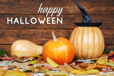 Taze Cadılar Bayramı balkabağı, kabak, kabak, cadı şapkası ve yarasa kanadı çikolata ve şeker kasesi, Cadılar Bayramı Jack o Lantern kurabiyeleri - Cadılar Bayramı kartı geçmişi