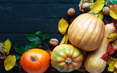 Farklı şekil ve renkte balkabakları, sonbahar sarısı yapraklar, masa dekoru, geleneksel bayram Mutlu Şükran Günleri veya Cadılar Bayramı konsepti