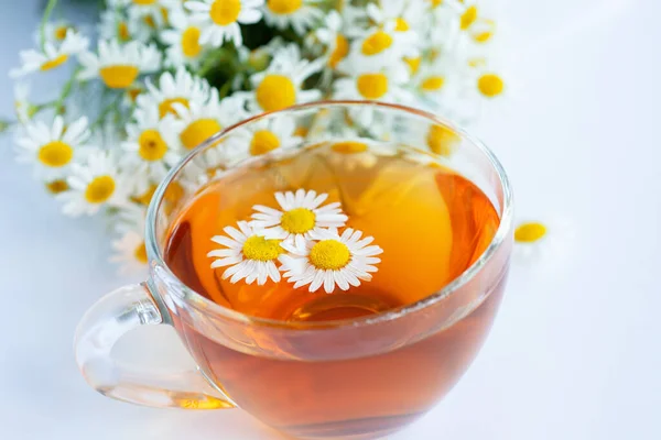 Kopje Kruidenkamille Thee Madeliefje Bloemen Witte Achtergrond Arts Behandeling Preventie — Stockfoto